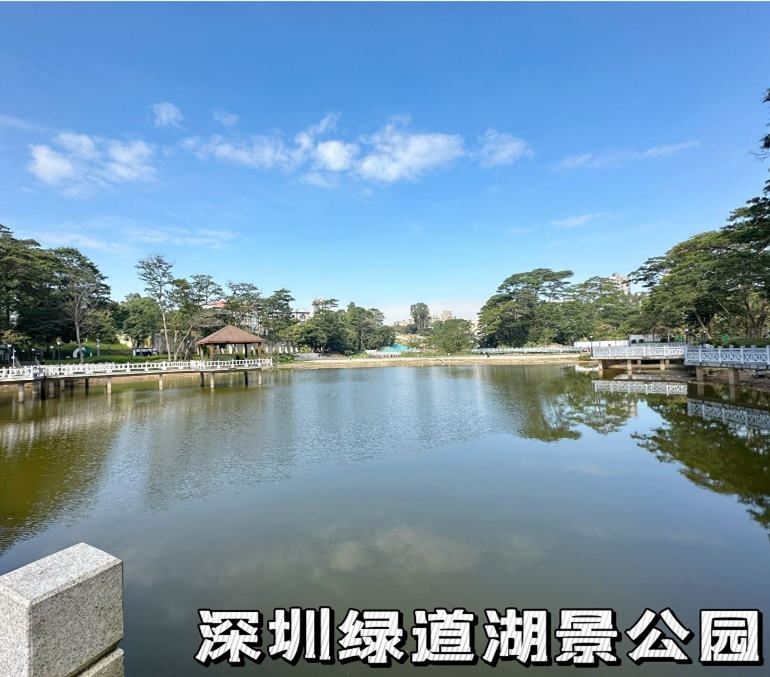 买房必看龙华大浪《雅园悦府》25号线华昌地铁口 通天燃气 可落户 停车无忧