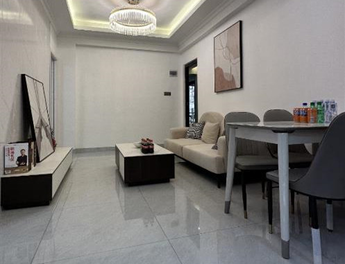 龙岗丹竹头地铁口新房源《年华里》原始户型 两证一书  通天然气 精装现房   